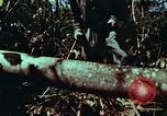 Image of survival techniques Philippines, 1968, second 12 stock footage video 65675072401