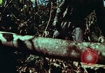 Image of survival techniques Philippines, 1968, second 13 stock footage video 65675072401