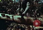 Image of survival techniques Philippines, 1968, second 14 stock footage video 65675072401