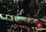 Image of survival techniques Philippines, 1968, second 16 stock footage video 65675072401