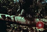 Image of survival techniques Philippines, 1968, second 17 stock footage video 65675072401