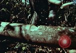Image of survival techniques Philippines, 1968, second 19 stock footage video 65675072401