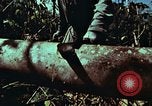 Image of survival techniques Philippines, 1968, second 20 stock footage video 65675072401