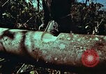 Image of survival techniques Philippines, 1968, second 21 stock footage video 65675072401