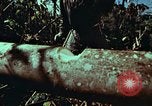 Image of survival techniques Philippines, 1968, second 22 stock footage video 65675072401