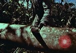 Image of survival techniques Philippines, 1968, second 23 stock footage video 65675072401