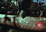Image of survival techniques Philippines, 1968, second 26 stock footage video 65675072401