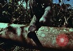 Image of survival techniques Philippines, 1968, second 28 stock footage video 65675072401