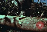 Image of survival techniques Philippines, 1968, second 30 stock footage video 65675072401