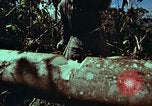 Image of survival techniques Philippines, 1968, second 31 stock footage video 65675072401