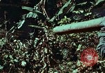 Image of survival techniques Philippines, 1968, second 33 stock footage video 65675072401