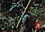 Image of survival techniques Philippines, 1968, second 35 stock footage video 65675072401
