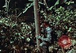 Image of survival techniques Philippines, 1968, second 37 stock footage video 65675072401
