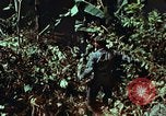 Image of survival techniques Philippines, 1968, second 39 stock footage video 65675072401