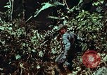 Image of survival techniques Philippines, 1968, second 40 stock footage video 65675072401