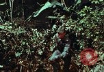 Image of survival techniques Philippines, 1968, second 41 stock footage video 65675072401