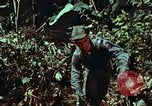Image of survival techniques Philippines, 1968, second 42 stock footage video 65675072401