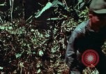 Image of survival techniques Philippines, 1968, second 43 stock footage video 65675072401