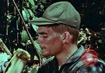 Image of survival techniques Philippines, 1968, second 47 stock footage video 65675072401