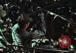 Image of survival techniques Philippines, 1968, second 49 stock footage video 65675072401