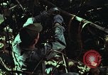 Image of survival techniques Philippines, 1968, second 50 stock footage video 65675072401
