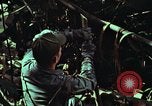 Image of survival techniques Philippines, 1968, second 52 stock footage video 65675072401
