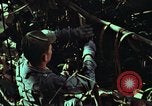 Image of survival techniques Philippines, 1968, second 53 stock footage video 65675072401
