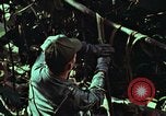 Image of survival techniques Philippines, 1968, second 55 stock footage video 65675072401