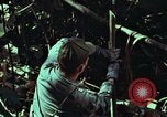 Image of survival techniques Philippines, 1968, second 56 stock footage video 65675072401