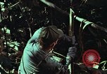 Image of survival techniques Philippines, 1968, second 57 stock footage video 65675072401