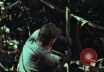 Image of survival techniques Philippines, 1968, second 58 stock footage video 65675072401