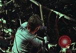 Image of survival techniques Philippines, 1968, second 59 stock footage video 65675072401