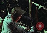 Image of survival techniques Philippines, 1968, second 60 stock footage video 65675072401