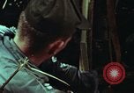 Image of survival techniques Philippines, 1968, second 62 stock footage video 65675072401