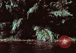 Image of survival techniques Philippines, 1968, second 1 stock footage video 65675072402