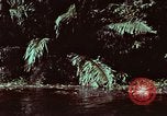 Image of survival techniques Philippines, 1968, second 3 stock footage video 65675072402