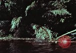 Image of survival techniques Philippines, 1968, second 4 stock footage video 65675072402