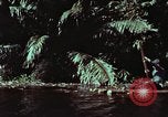 Image of survival techniques Philippines, 1968, second 5 stock footage video 65675072402