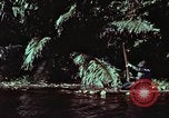 Image of survival techniques Philippines, 1968, second 6 stock footage video 65675072402