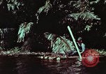 Image of survival techniques Philippines, 1968, second 7 stock footage video 65675072402