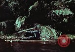 Image of survival techniques Philippines, 1968, second 10 stock footage video 65675072402