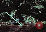 Image of survival techniques Philippines, 1968, second 11 stock footage video 65675072402