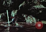 Image of survival techniques Philippines, 1968, second 12 stock footage video 65675072402
