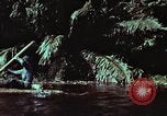 Image of survival techniques Philippines, 1968, second 13 stock footage video 65675072402