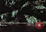 Image of survival techniques Philippines, 1968, second 15 stock footage video 65675072402