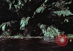 Image of survival techniques Philippines, 1968, second 16 stock footage video 65675072402
