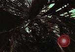 Image of survival techniques Philippines, 1968, second 23 stock footage video 65675072402
