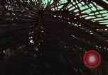 Image of survival techniques Philippines, 1968, second 24 stock footage video 65675072402