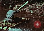 Image of survival techniques Philippines, 1968, second 28 stock footage video 65675072402