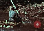 Image of survival techniques Philippines, 1968, second 29 stock footage video 65675072402
